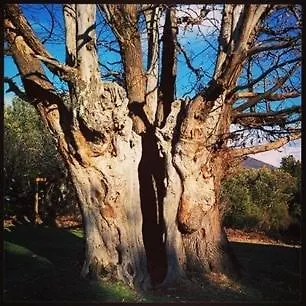 De Charme, Le Hameau De Valbonne Prázdninový dům *